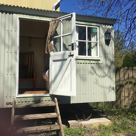 Posh Huts Farmstay Falstone Exterior foto