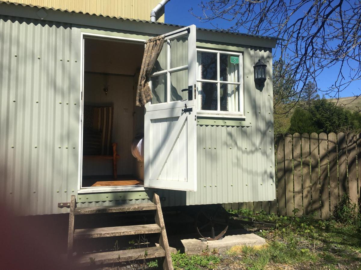 Posh Huts Farmstay Falstone Exterior foto