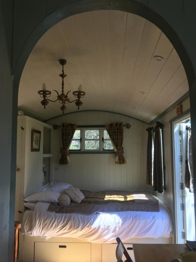 Posh Huts Farmstay Falstone Exterior foto