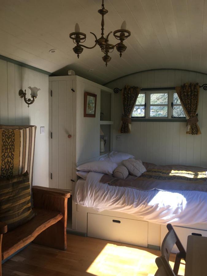 Posh Huts Farmstay Falstone Exterior foto